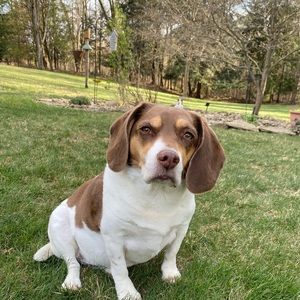 Meet your Posher, Patti